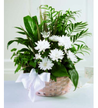 Peaceful Garden Basket