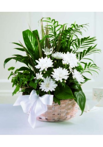 Peaceful Garden Basket