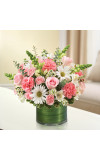 Pink andamp White Cherished Memories