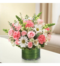 Pink andamp White Cherished Memories