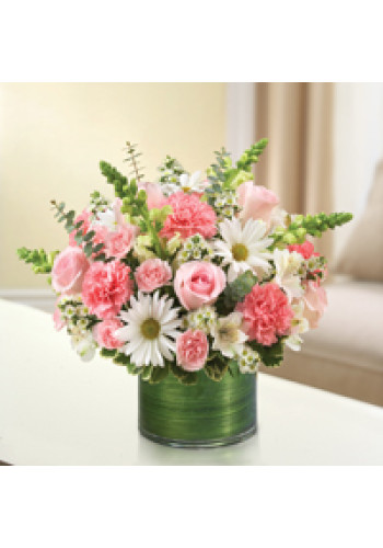 Pink andamp White Cherished Memories