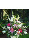 Pink andamp White Vase