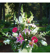 Pink andamp White Vase