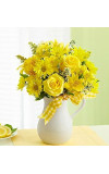 Pitcher of Sunshine