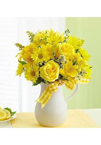Pitcher of Sunshine