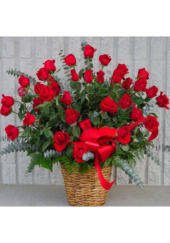 Sympathy For The Red Rose Tribute
