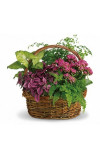 Secret Garden Basket