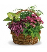 Secret Garden Basket