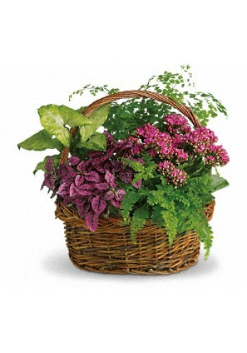 Secret Garden Basket