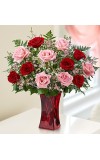 Shades of Pink andamp Red