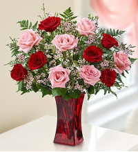 Shades of Pink andamp Red