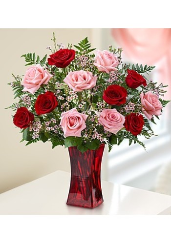 Shades of Pink andamp Red