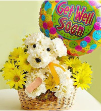 Sick As A Dogâ„¢