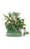 Small Garden Dish