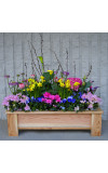 Spring Garden