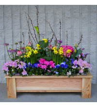Spring Garden