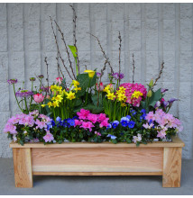Spring Garden