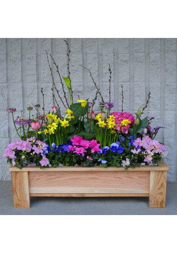 Spring Garden