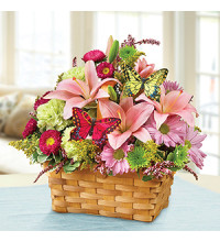 Spring Inspiration