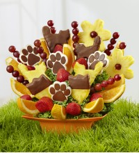 The Cats Meow by Fruit Bouquets