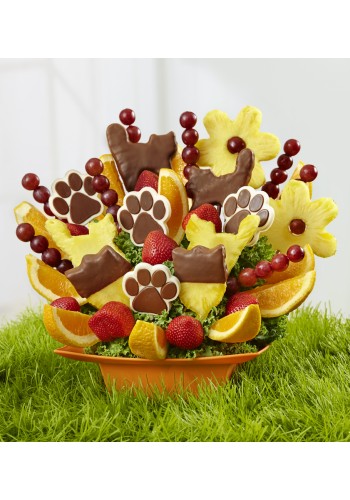 The Cats Meow by Fruit Bouquets
