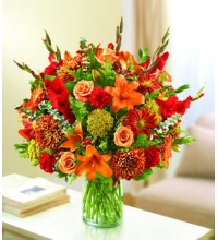 Ultimate Eleganceâ„¢ Fall