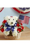 Yankee Doodle Doggieâ„¢