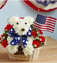 Yankee Doodle Doggieâ„¢