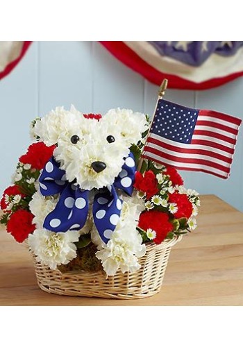 Yankee Doodle Doggieâ„¢
