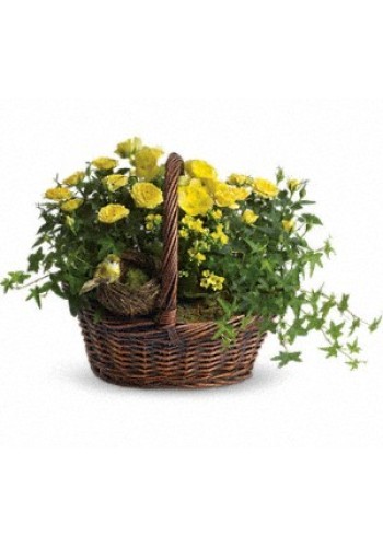 Yellow Trio Basket