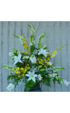 Sympathy For The Yellow andamp White Vase