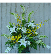 Sympathy For The Yellow andamp White Vase