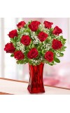 Blooming Love Premium Red Roses in Red Vase