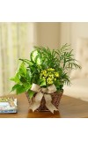 European Dish Garden