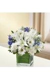 Sympathy For The Healing Tears - Blue andamp White