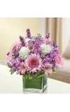 Sympathy For The Healing Tears - Lavender andamp White