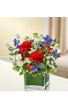 Sympathy For The Healing Tears - Red, White andamp Blue