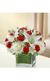 Sympathy For The Healing Tears - Red andamp White