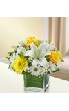 Sympathy For The Healing Tears - Yellow andamp White
