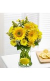 Make Lemonade in a Vase
