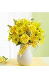 Pitcher of Sunshine