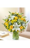Sincerest Sorrow - Yellow and White