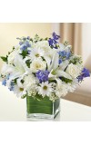 Sympathy For The Healing Tears - Blue andamp White