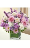 Sympathy For The Healing Tears - Lavender andamp White
