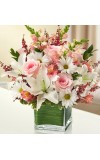 Sympathy For The Healing Tears - Pink andamp White
