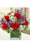 Sympathy For The Healing Tears - Red, White andamp Blue