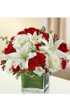 Sympathy For The Healing Tears - Red andamp White