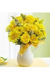 Pitcher of Sunshine