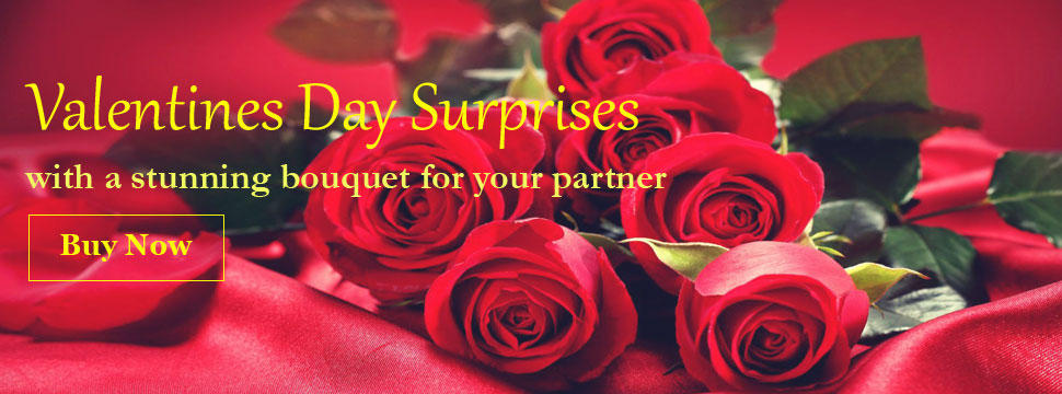 Home Page Top Slider3
