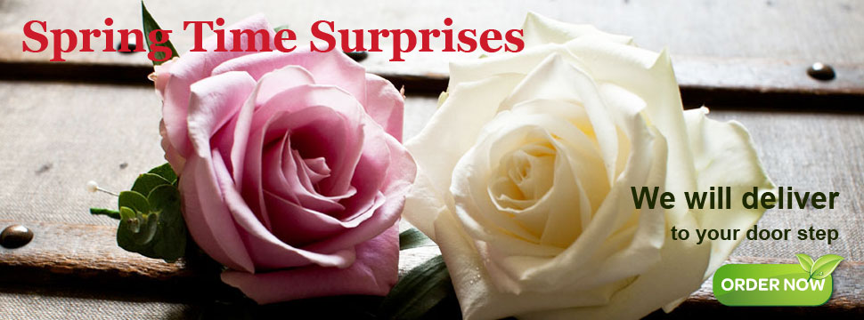 Home Page Top Slider1